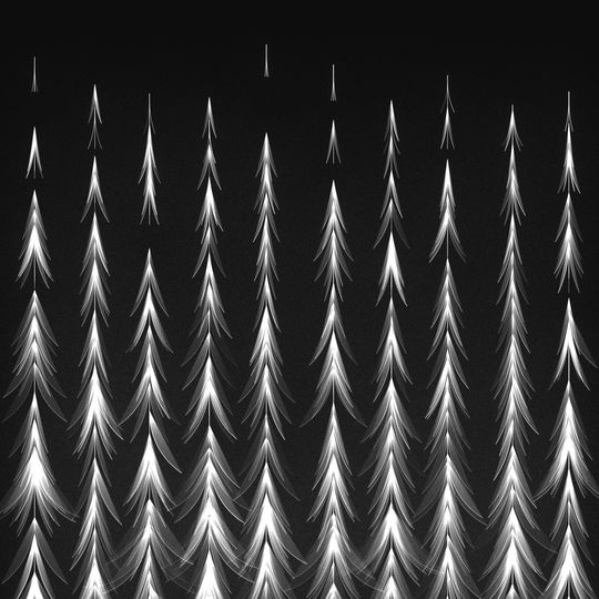 Many white trees aligned vertically on a dark background, representing a snowy Norwegian forest.